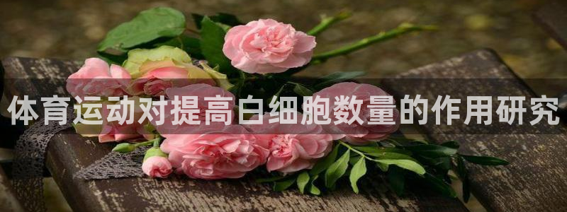 哈希娱乐2平台登录：体育运动对提高白细胞数量的作用研究