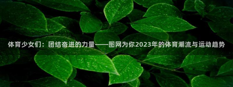 东莞市意昂电子科技有限公司：体育少女们：团结奋进的力量——图网为你2023年的体育潮流与运动趋势