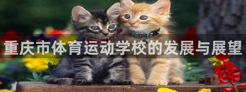 哈希娱乐集团总部：重庆市体育运动学校的发展与展望