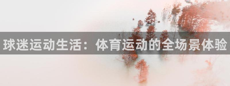 哈希娱乐体育3在线注册：球迷运动生活：体育运动的全场景体验