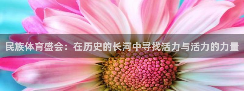 哈希娱乐体育3：民族体育盛会：在历史的长河中寻找活力与活力的力量