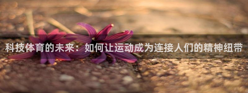 哈希娱乐4