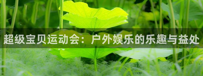 哈希娱乐体育3在线注册：超级宝贝运动会：户外娱乐的乐趣与益处