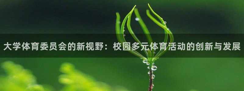 哈希娱乐体育官网：大学体育委员会的新视野：校园多元体育活动的创新与发展