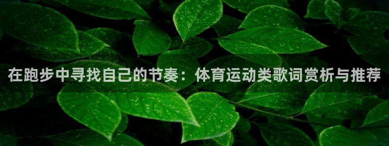 哈希娱乐集团：在跑步中寻找自己的节奏：体育运动类歌词赏析与推荐