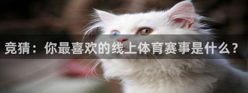哈希娱乐平台：竞猜：你最喜欢的线上体育赛事是什么？