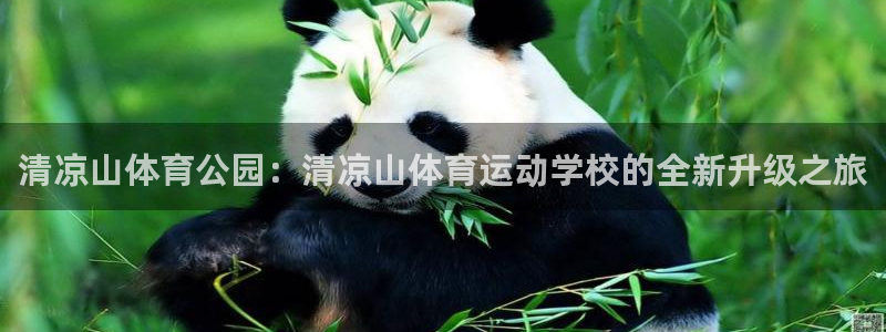 哈希娱乐体育注册平台：清凉山体育公园：清凉山体育运动学校的全新升级之旅