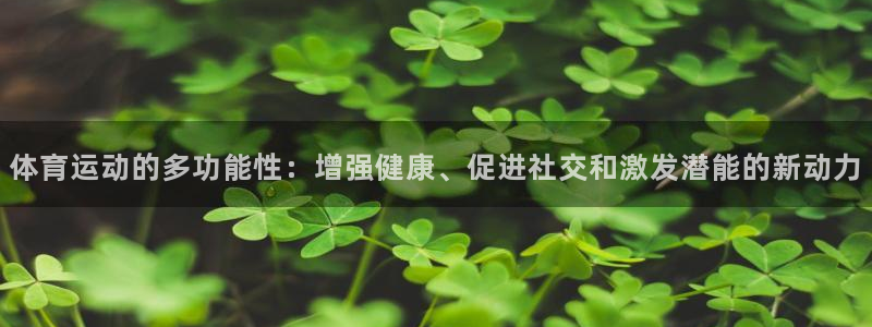 哈希娱乐4代理：体育运动的多功能性：增强健康、促进社交和激发潜能的新动力