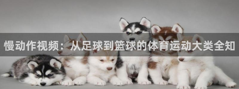 意昂：慢动作视频：从足球到篮球的体育运动大类全知