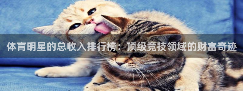 意昂集团股票：体育明星的总收入排行榜：顶级竞技领域的财富奇迹