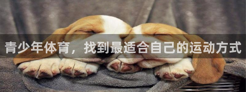 哈希娱乐体育2：青少年体育，找到最适合自己的运动方式
