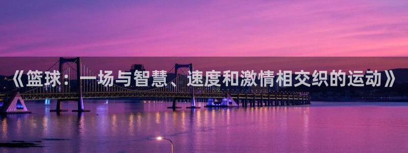 哈希娱乐体育3：《篮球：一场与智慧、速度和激情相交织的运动》