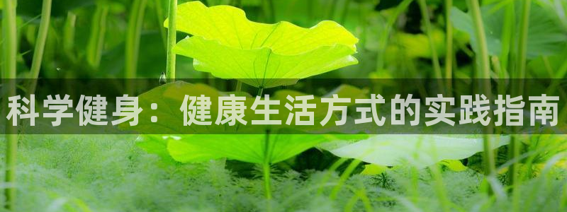 哈希娱乐体育热门赛事有哪些：科学健身：健康生活方式的实践指南