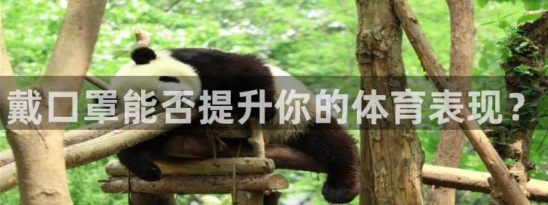 意昂3平台：戴口罩能否提升你的体育表现？