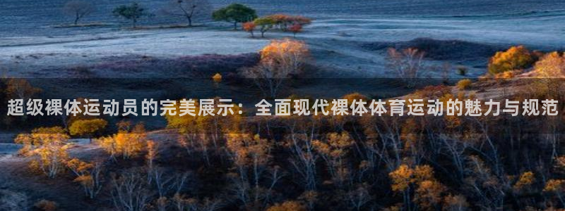 成都意昂电子有限公司：超级裸体运动员的完美展示：全面现代裸体体育运动的魅力与规范