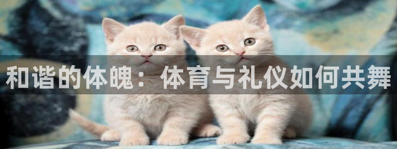 哈希娱乐4官网：和谐的体魄：体育与礼仪如何共舞