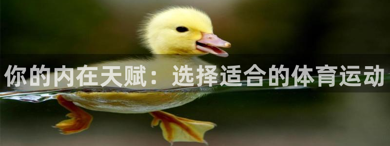 哈希娱乐2平台登录：你的内在天赋：选择适合的体育运动