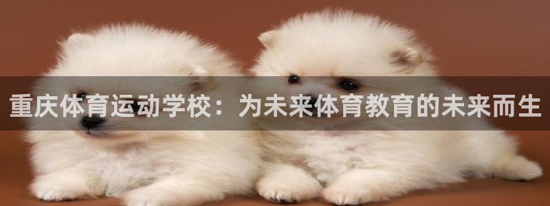 哈希娱乐kgame：重庆体育运动学校：为未来体育教育的未来而生
