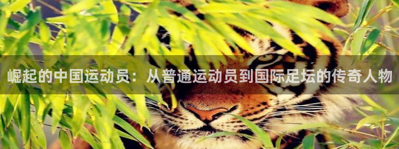 哈希娱乐注册：崛起的中国运动员：从普通运动员到国际足坛的传奇人物