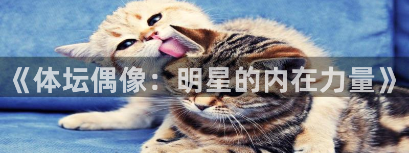 意昂平台登陆：《体坛偶像：明星的内在力量》