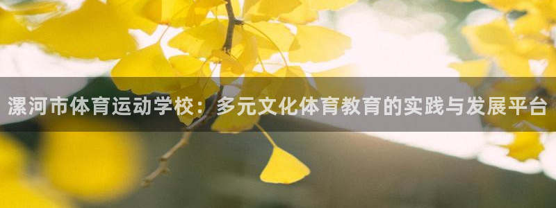 哈希娱乐官网注册：漯河市体育运动学校：多元文化体育教育的实践与发展平台