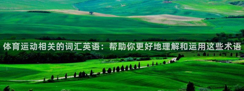 哈希娱乐2体育：体育运动相关的词汇英语：帮助你更好地理解和运用这些术语