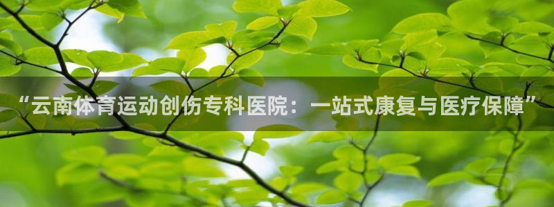 北京意昂科技有限公司：“云南体育运动创伤专科医院：一站式康复与医疗保障”