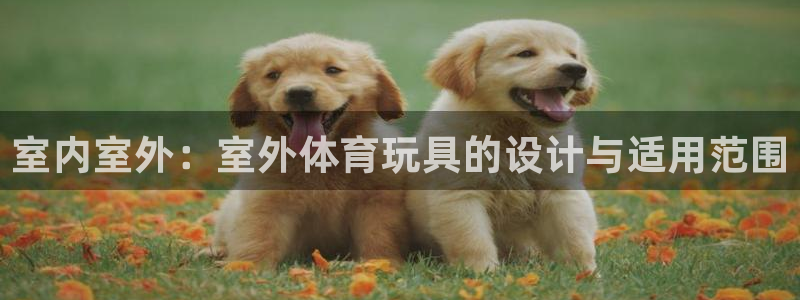 哈希娱乐体育f开户：室内室外：室外体育玩具的设计与适用范围