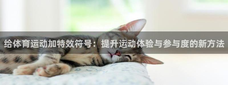 哈希娱乐2注册：给体育运动加特效符号：提升运动体验与参与度的新方法