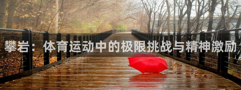 哈希娱乐vk：攀岩：体育运动中的极限挑战与精神激励